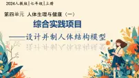 人教版（2024）七年级下册（2024）设计并制作人体结构模型背景图课件ppt