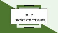 初中生物苏教版（2024）七年级下册（2024）植物的营养器官备课课件ppt