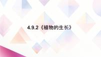 初中生物苏教版（2024）七年级下册（2024）植物的生长集体备课课件ppt
