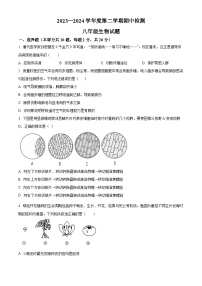 江苏省徐州市2023-2024学年八年级下学期期中生物试题（原卷版+解析版）