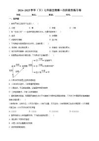 江西省吉安市八校联盟2024-2025学年七年级下学期3月月考生物试题（原卷版+解析版）