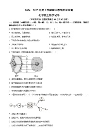 辽宁省丹东市东港市2024-2025学年七年级上学期期末生物试题（原卷版+解析版）
