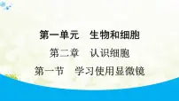 人教版（2024）七年级上册（2024）学习使用显微镜集体备课课件ppt