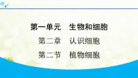 人教版（2024）七年级上册（2024）植物细胞教案配套ppt课件
