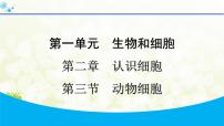 初中生物动物细胞集体备课ppt课件