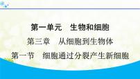 生物细胞通过分裂产生新细胞多媒体教学课件ppt