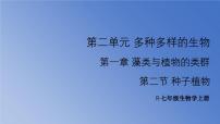 七年级上册（2024）种子植物集体备课ppt课件