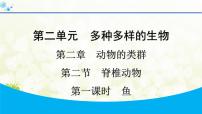 初中生物人教版（2024）七年级上册（2024）鱼教课ppt课件