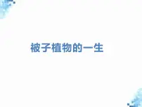 人教版（2024）七年级下册（2024）种子的萌发背景图ppt课件