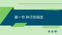 初中人教版（2024）种子的萌发教课内容ppt课件