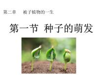 人教版（2024）七年级下册（2024）种子的萌发多媒体教学课件ppt