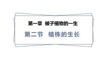 人教版（2024）七年级下册（2024）植株的生长课前预习ppt课件