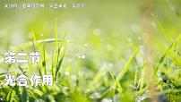 初中生物人教版（2024）七年级下册（2024）光合作用说课ppt课件