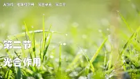 初中生物人教版（2024）七年级下册（2024）光合作用说课ppt课件