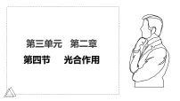 初中生物光合作用课文配套ppt课件