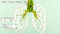 初中生物人教版（2024）七年级下册（2024）呼吸作用多媒体教学ppt课件