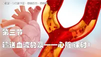 生物七年级下册（2024）输送血液的泵—心脏课文内容ppt课件