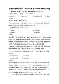 安徽省合肥市肥西县2023-2024学年七年级下学期期末生物试题（解析版）