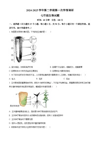 山东省聊城市多校2024-2025学年七年级下学期3月月考生物试题（原卷版+解析版）