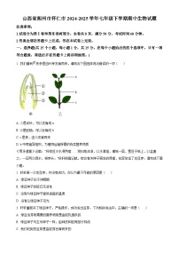 山西省朔州市怀仁市2024-2025学年七年级下学期期中生物试题（原卷版+解析版）