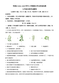 云南省昆明市官渡区2024-2025学年七年级上学期期末生物试题（原卷版+解析版）