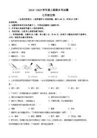 重庆市渝中区2024-2025学年七年级上学期期末生物试题（原卷版+解析版）