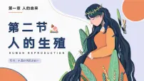 初中生物人教版（2024）七年级下册（2024）人的生殖优质课ppt课件