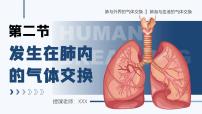 人教版（2024）七年级下册（2024）发生在肺内的气体交换试讲课ppt课件
