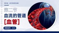 初中生物血流的管道—血管备课ppt课件