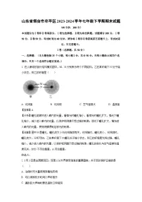 山东省烟台市牟平区2023-2024学年七年级下学期期末生物试题（解析版）