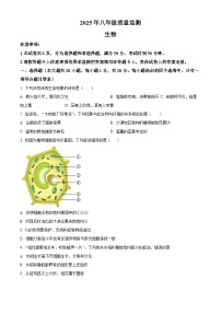 2025年河南省驻马店市驿城区八年级一模生物试题（中考模拟）