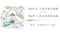 生物人教版（2024）流动的组织—血液课文配套ppt课件