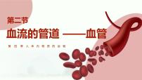 七年级下册（2024）血流的管道—血管多媒体教学ppt课件