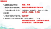 初中生物济南版（2024）七年级下册（2024）无性生殖保持了生物遗传特征的稳定集体备课ppt课件