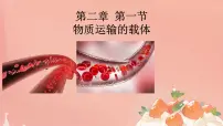 冀少版（2024）七年级下册（2024）血液图片ppt课件