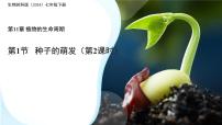 生物种子的萌发课堂教学ppt课件