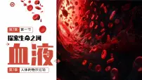 生物七年级下册（2024）血液教学ppt课件
