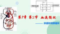 北师大版（2024）七年级下册（2024）血液循环多媒体教学ppt课件