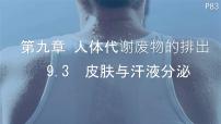 北师大版（2024）七年级下册（2024）皮肤与汗液分泌示范课ppt课件