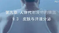 北师大版（2024）七年级下册（2024）皮肤与汗液分泌示范课ppt课件