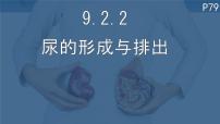 北师大版（2024）七年级下册（2024）尿的形成与排出课前预习课件ppt