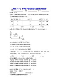 人教版(2024）七年级下册生物期末综合模拟测试卷（含答案）