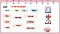 生物北师大版（2024）皮肤与汗液分泌集体备课课件ppt