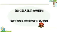 北师大版（2024）七年级下册（2024）神经系统与神经调节课文内容课件ppt