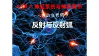 北师大版（2024）七年级下册（2024）神经系统与神经调节多媒体教学课件ppt
