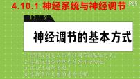 生物神经系统与神经调节图文ppt课件
