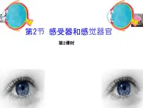 初中生物北师大版（2024）七年级下册（2024）感受器和感觉器官集体备课课件ppt