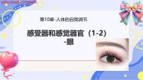 北师大版（2024）七年级下册（2024）感受器和感觉器官授课ppt课件