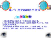 生物七年级下册（2024）感受器和感觉器官课文配套课件ppt