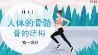 北师大版（2024）七年级下册（2024）人体的骨骼课前预习课件ppt